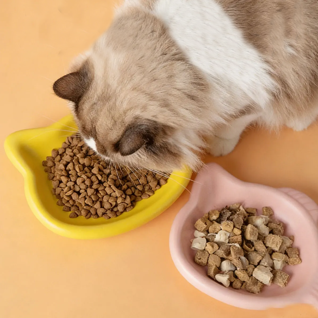 Food Snacks Options - Cute Cat Shape Pet Snack Plate,