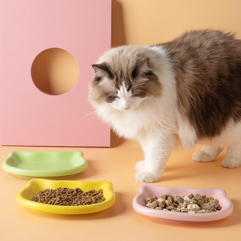 Cute Cat Shape Pet Snack Plate - Food Snacks Options avis et prix