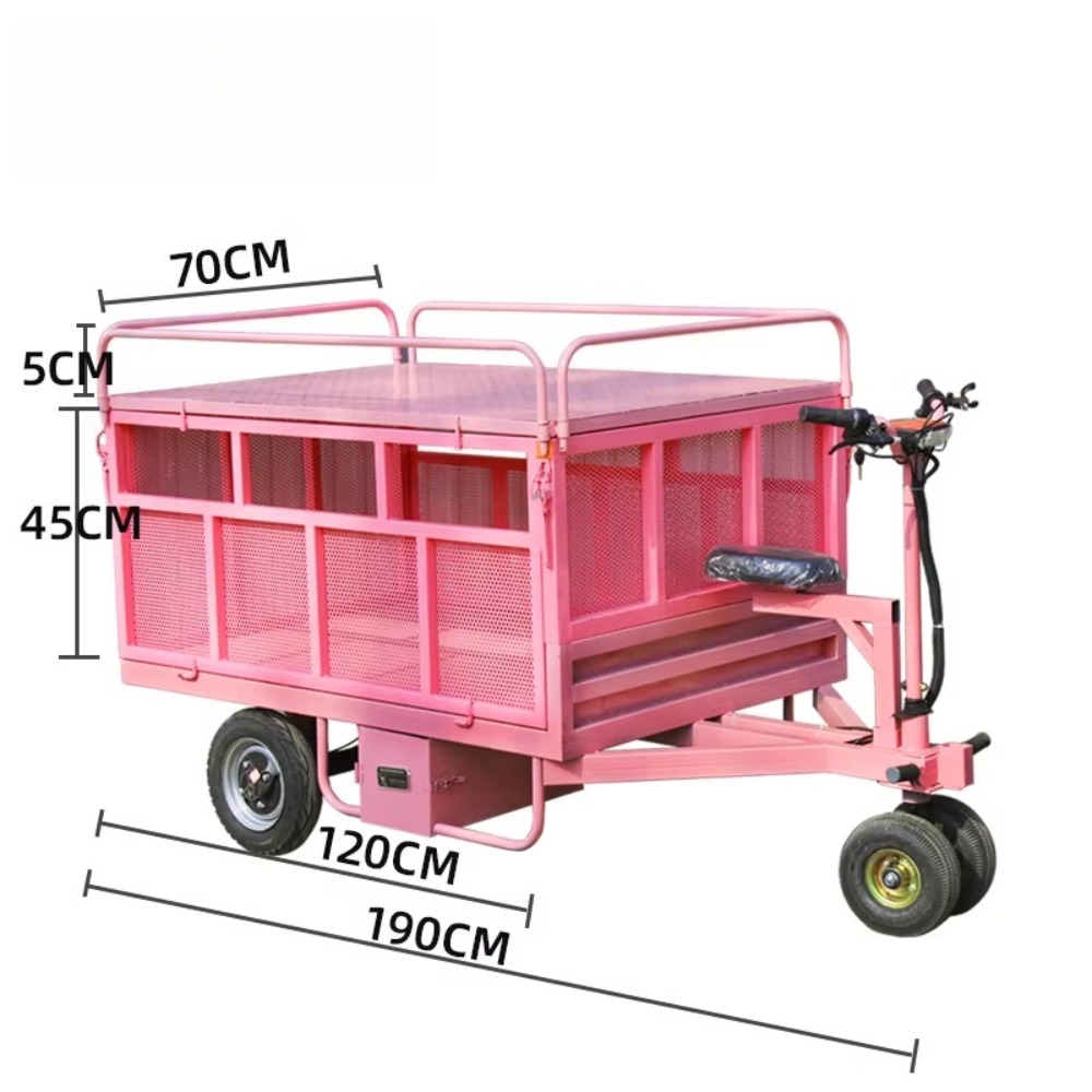 3 Wheel Electric Flat Cart Rev - Snacks Food Stall avis et prix