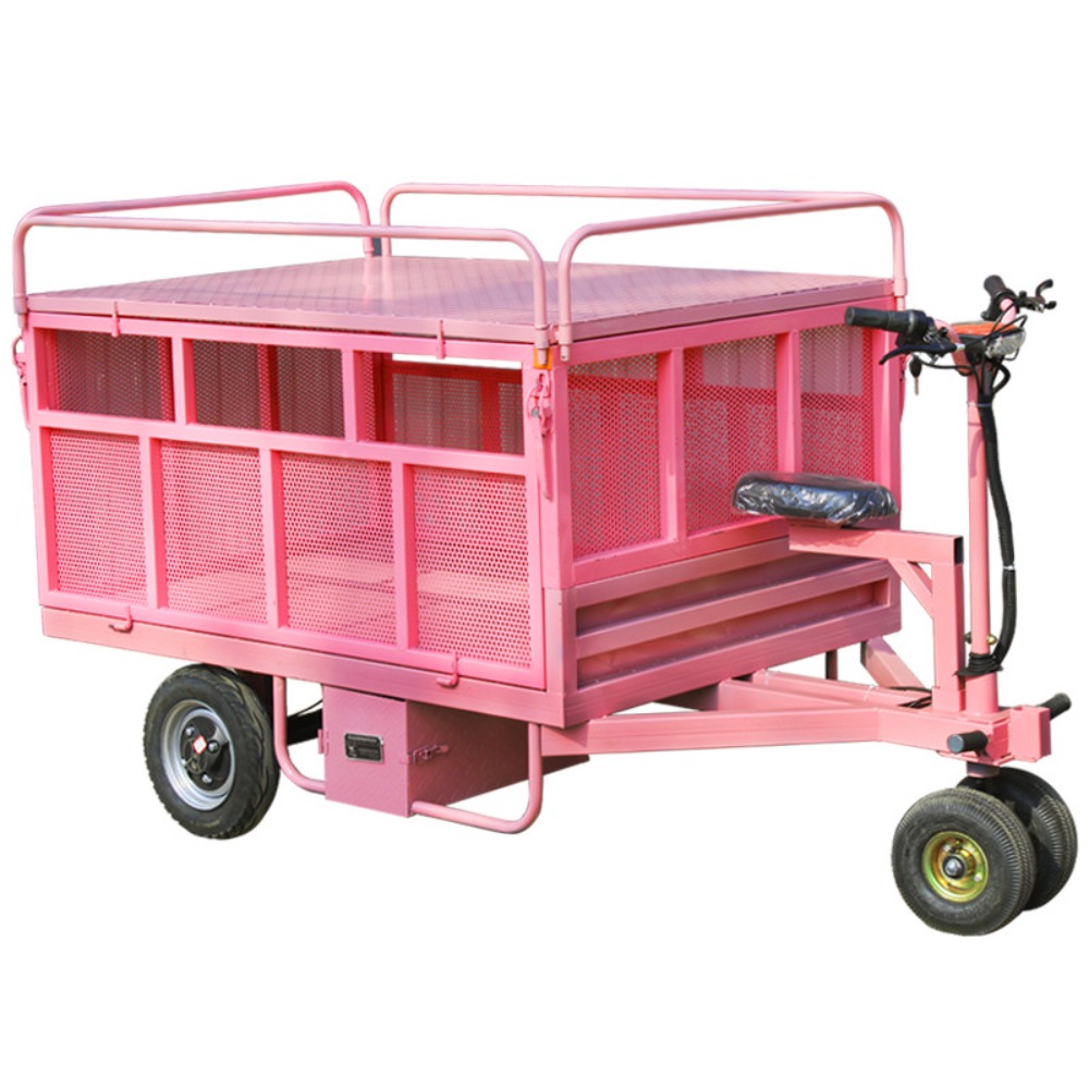 3 Wheel Electric Flat Cart Rev - Snacks Food Stall avis et prix