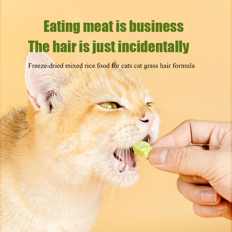 Cat grass freeze-dried meat sq - Snacks Food Ready To Eat avis et prix